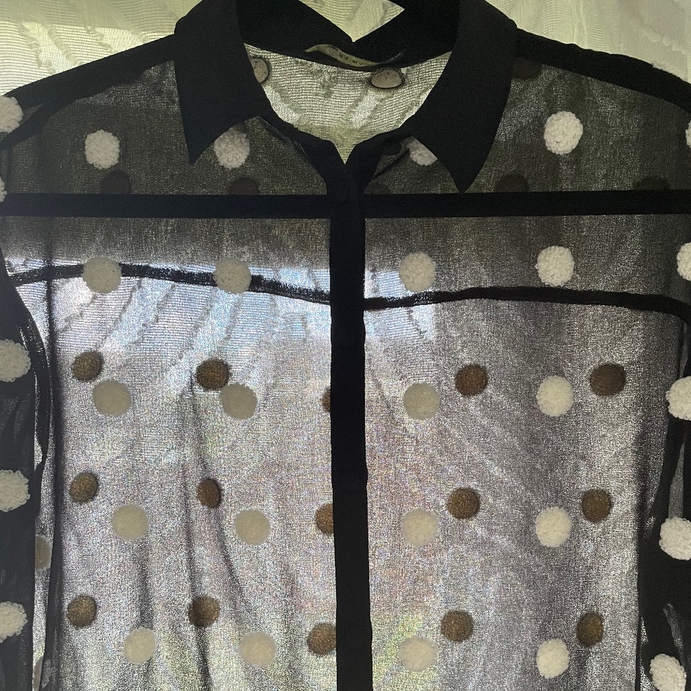 Zara Basic Sheer Black & White Polka Dot Long Sleeve Blouse